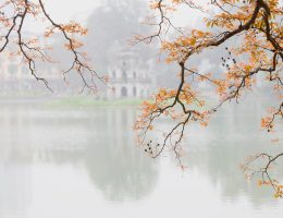 erfahren sie mehr über die koalitionsgespräche, die politische allianzen formen und die zukunft von regierungen in deutschland beeinflussen. entdecken sie die herausforderungen und chancen der verhandlungen.