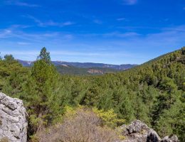 erfahren sie mehr über jens spahn, den einflussreichen deutschen politiker und ehemaligen gesundheitsminister, der innovative ansätze zur verbesserung des gesundheitswesens vorangetrieben hat.