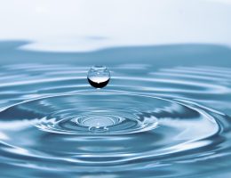 entdecken sie die herausforderungen der wasserknappheit und erfahren sie, wie sie unser leben, die umwelt und die globale wirtschaft beeinflusst. informieren sie sich über lösungen und strategien zur bekämpfung dieses drängenden problems.