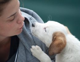 entdecken sie die besten pflegetipps und -produkte für ihr haustier. garantieren sie das wohlbefinden und die gesundheit ihres tierischen begleiters mit unseren hilfreichen ratschlägen und empfehlungen.