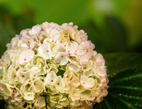 entdecken sie die faszinierende welt von musk, dem symbol für innovation und fortschritt. tauchen sie ein in die neuesten entwicklungen und trends in technologie, raumfahrt und nachhaltigkeit.