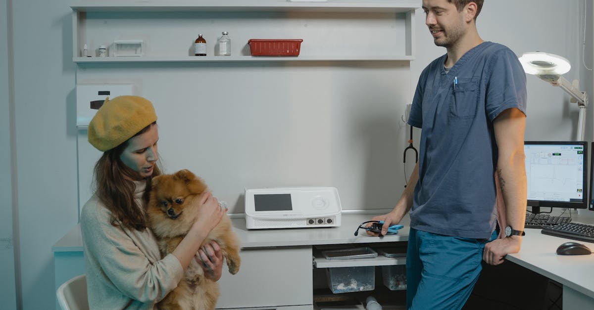 entdecken sie wertvolle tipps und ratschläge zur gesundheit ihres haustieres. erfahren sie, wie sie ihrem vierbeinigen freund ein längeres, glücklicheres leben bieten können.