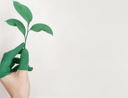 entdecken sie die bedeutung von nachhaltigkeit und wie sie unsere umwelt, gesellschaft und wirtschaft beeinflusst. erfahren sie, wie nachhaltige praktiken in verschiedenen bereichen angewendet werden können, um eine bessere zukunft für kommende generationen zu schaffen.