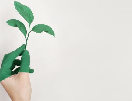 entdecken sie die bedeutung von nachhaltigkeit und wie sie unsere umwelt, gesellschaft und wirtschaft beeinflusst. erfahren sie, wie nachhaltige praktiken in verschiedenen bereichen angewendet werden können, um eine bessere zukunft für kommende generationen zu schaffen.