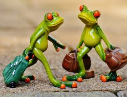 entdecken sie die faszinierende welt des reisens mit unseren praktischen tipps, inspirierenden zielen und unvergesslichen abenteuern. planen sie ihre nächste reise mühelos und erleben sie neue kulturen und landschaften!