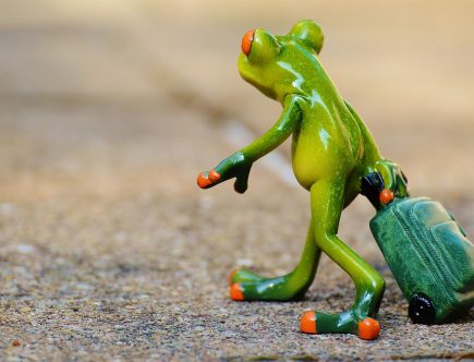 erhalten sie wichtige informationen und tipps für ihre reiseplanung mit unseren reisehinweisen. entdecken sie empfohlene sicherheitsvorkehrungen, aktuelle reisebeschränkungen und lokale gegebenheiten, um ihre reise sicher und angenehm zu gestalten.