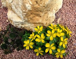 entdecken sie infront – ihre zentrale anlaufstelle für innovative lösungen und dienstleistungen. erfahren sie mehr über unsere angebote, die ihre projekte voranbringen. jetzt mehr erfahren!