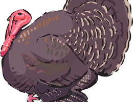 entdecken sie die faszinierende kultur, die köstliche küche und die atemberaubenden landschaften der türkei. von den pulsierenden städten bis zu den ruhigen stränden – ihr unvergessliches reiseabenteuer erwartet sie!