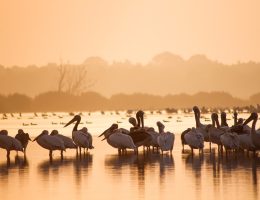 wasserschutz ist entscheidend für die umwelt und die zukunft unseres planeten. entdecken sie maßnahmen und tipps zur nachhaltigen nutzung von wasserressourcen, um unseren wasserverbrauch zu reduzieren und die erde zu schützen.