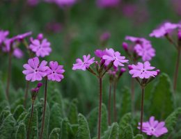 erfahren sie alles über den internationalen flughafen damaskus – aktuelle fluginformationen, ankunfts- und abflugzeiten, services vor ort und praktische reisetipps für ihren aufenthalt in syrien.
