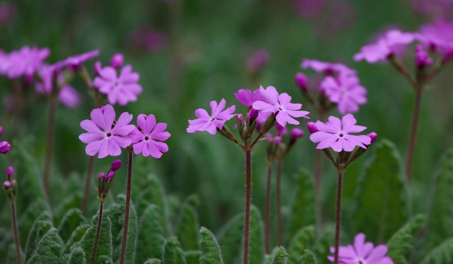 erfahren sie alles über den internationalen flughafen damaskus – aktuelle fluginformationen, ankunfts- und abflugzeiten, services vor ort und praktische reisetipps für ihren aufenthalt in syrien.