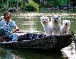 entdecken sie inspirierende lifestyle-tipps, trends und ideen für ein erfülltes leben – von mode über ernährung bis hin zu reisen und wohlbefinden.