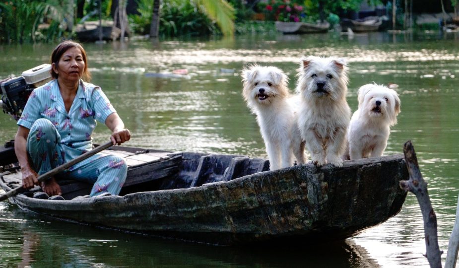 entdecken sie inspirierende lifestyle-tipps, trends und ideen für ein erfülltes leben – von mode über ernährung bis hin zu reisen und wohlbefinden.