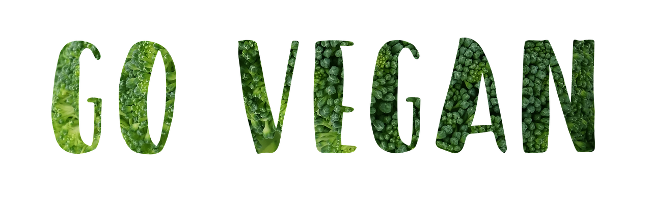 entdecken sie inspirierende nachhaltige lifestyle-blogger, die wertvolle tipps und ideen für umweltfreundliches leben teilen. erfahren sie mehr über grüne alternativen, bewussten konsum und nachhaltige trends.