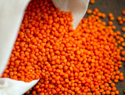 entdecken sie die inspirierendsten veganen blogger und ihre kreativen rezepte, tipps für einen nachhaltigen lebensstil und spannende geschichten aus der veganen community. jetzt vegan werden und genießen!