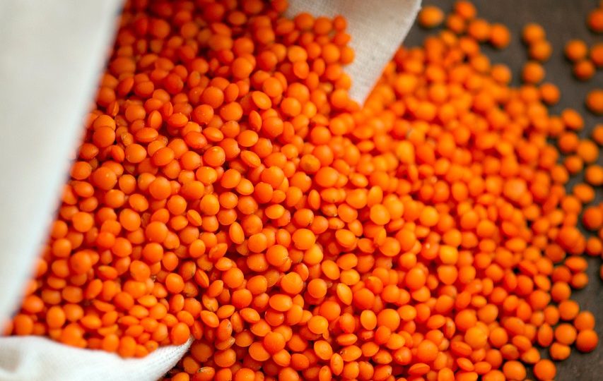 entdecken sie die inspirierendsten veganen blogger und ihre kreativen rezepte, tipps für einen nachhaltigen lebensstil und spannende geschichten aus der veganen community. jetzt vegan werden und genießen!