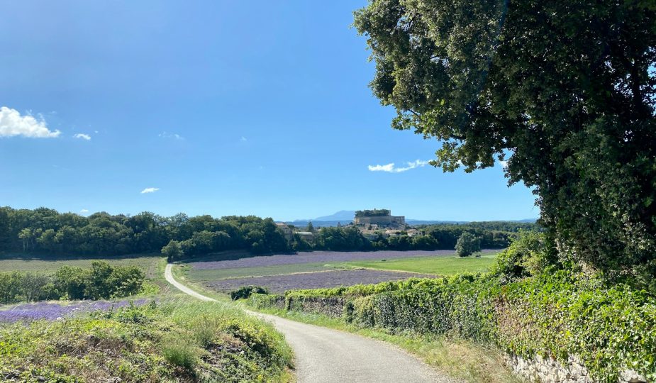 a dirt road in the middle of a field