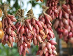 entdecken sie inspirierende lifestyle-tipps, trends und ratgeber rund um gesundheit, mode, reisen und das tägliche wohlbefinden. holen sie sich ideen für ein erfüllteres leben!