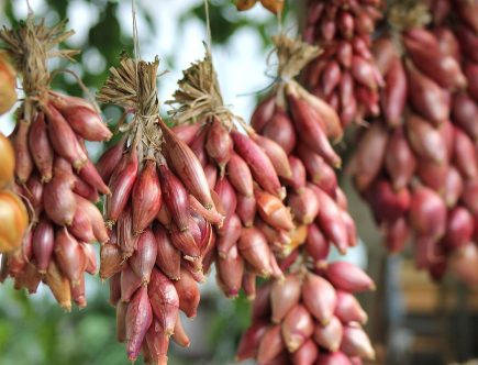 entdecken sie inspirierende lifestyle-tipps, trends und ratgeber rund um gesundheit, mode, reisen und das tägliche wohlbefinden. holen sie sich ideen für ein erfüllteres leben!