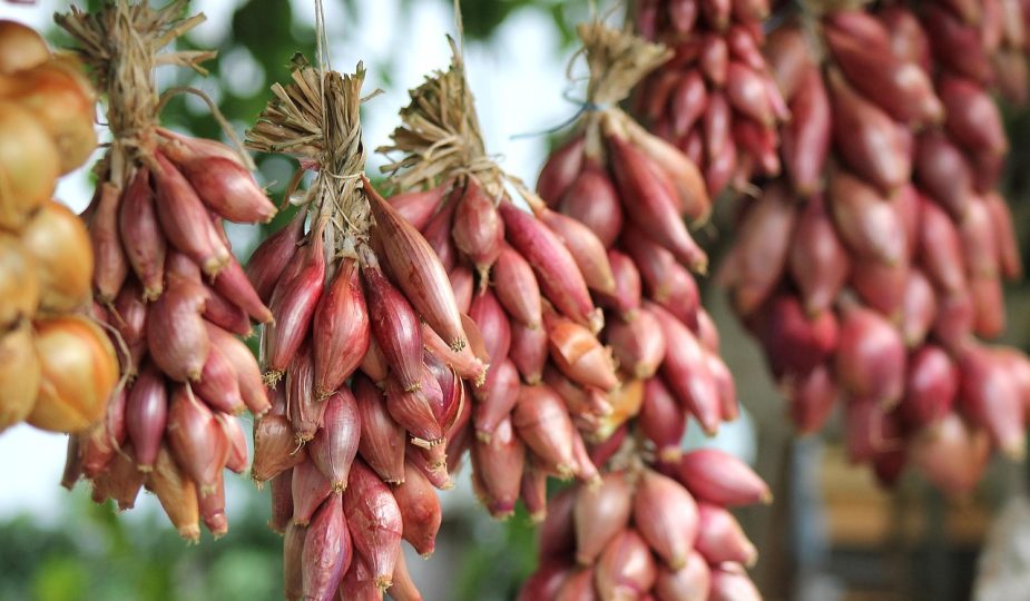 entdecken sie inspirierende lifestyle-tipps, trends und ratgeber rund um gesundheit, mode, reisen und das tägliche wohlbefinden. holen sie sich ideen für ein erfüllteres leben!