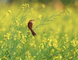 entdecken sie, wie soziale reformen das gesellschaftliche leben verbessern, soziale gerechtigkeit fördern und nachhaltige veränderungen in deutschland ermöglichen. erfahren sie mehr über initiativen, herausforderungen und erfolge im bereich sozialreform.