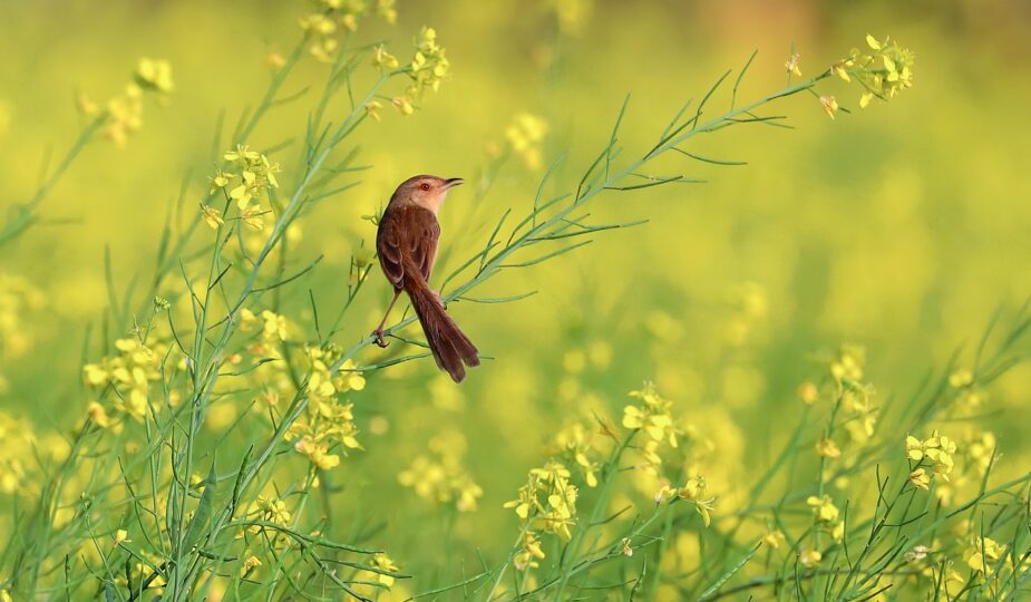 entdecken sie, wie soziale reformen das gesellschaftliche leben verbessern, soziale gerechtigkeit fördern und nachhaltige veränderungen in deutschland ermöglichen. erfahren sie mehr über initiativen, herausforderungen und erfolge im bereich sozialreform.