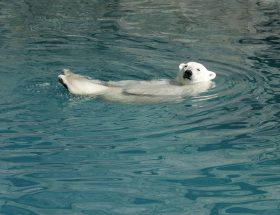 entdecken sie die neuesten reisetendenzen und erfahren sie, wie sich die reisegewohnheiten in deutschland und weltweit verändern. praktische tipps und inspiration für ihren nächsten urlaub!