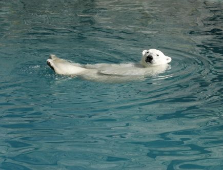 entdecken sie die neuesten reisetendenzen und erfahren sie, wie sich die reisegewohnheiten in deutschland und weltweit verändern. praktische tipps und inspiration für ihren nächsten urlaub!