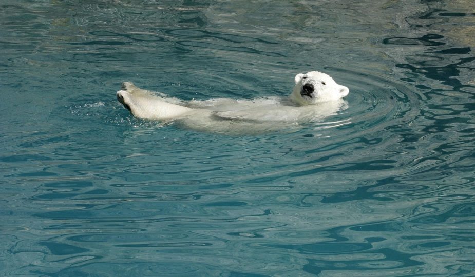 entdecken sie die neuesten reisetendenzen und erfahren sie, wie sich die reisegewohnheiten in deutschland und weltweit verändern. praktische tipps und inspiration für ihren nächsten urlaub!