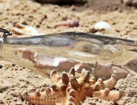 entdecken sie die perfekte trinkflasche für kinder – auslaufsicher, robust und bpa-frei. ideal für schule, kindergarten und unterwegs. fördert gesundes trinken mit fröhlichem design!