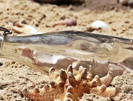 entdecken sie die perfekte trinkflasche für kinder – auslaufsicher, robust und bpa-frei. ideal für schule, kindergarten und unterwegs. fördert gesundes trinken mit fröhlichem design!