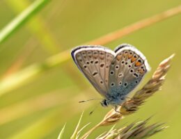 häufige tägliche fehler vermeiden: entdecken sie die häufigsten alltagspannen und lernen sie, wie sie diese einfach korrigieren können.