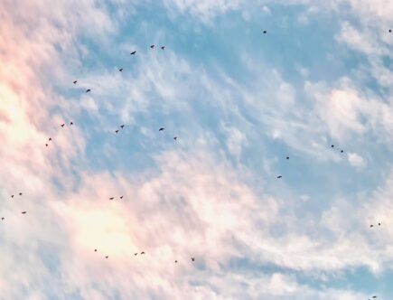 erfahren sie alles über immigration, einwanderungsmöglichkeiten, aktuelle gesetze und tipps für einen erfolgreichen neustart in einem neuen land.