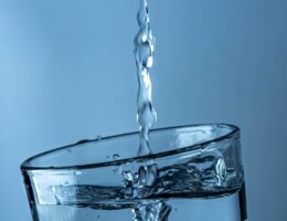 lernen sie deutsch durch kulinarische genüsse, getränke und bewegung – eine abwechslungsreiche und praxisorientierte methode, die sprache mit spaß und kultur verbindet.