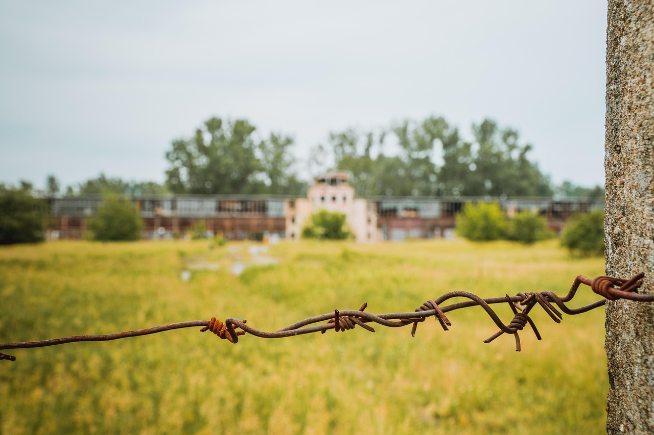 effiziente und zuverlässige militärische transporte für ausrüstung und personal. optimale logistiklösungen für verteidigungs- und sicherheitsanwendungen.