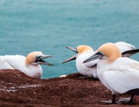 erfahren sie alles über rentenstreitigkeiten, ihre ursachen und wie sie ihre rechte schützen können. umfassende informationen und rechtliche unterstützung.