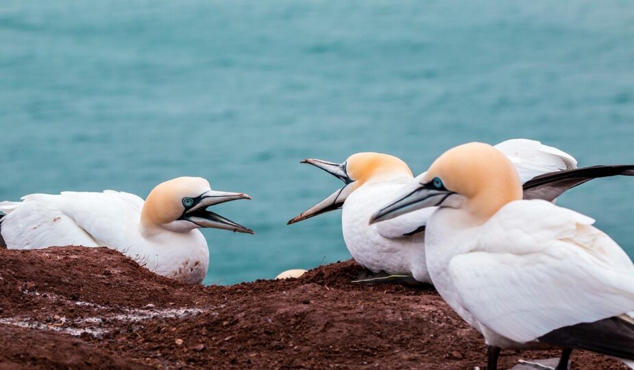 erfahren sie alles über rentenstreitigkeiten, ihre ursachen und wie sie ihre rechte schützen können. umfassende informationen und rechtliche unterstützung.