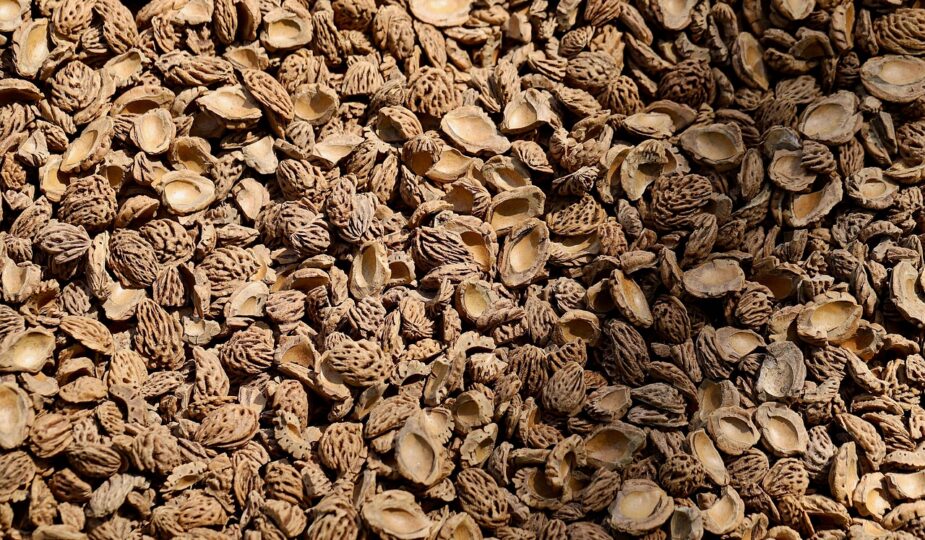 erfahren sie alles über rückführung: verfahren, unterstützung und wichtige informationen für eine sichere und reibungslose heimkehr.