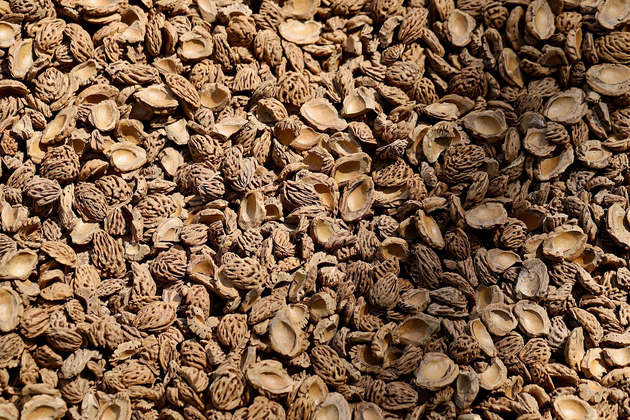 erfahren sie alles über rückführung: verfahren, unterstützung und wichtige informationen für eine sichere und reibungslose heimkehr.