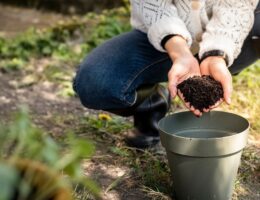 entdecken sie nachhaltige lebensstile für eine umweltfreundliche zukunft. tipps und inspiration für bewussten konsum, ressourcenschonung und nachhaltiges leben.