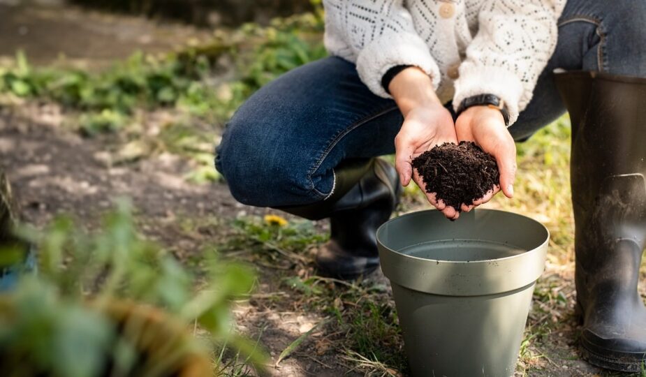 entdecken sie nachhaltige lebensstile für eine umweltfreundliche zukunft. tipps und inspiration für bewussten konsum, ressourcenschonung und nachhaltiges leben.