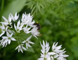 entdecken sie die welt von tanja ransom &ndash; kreative ideen, inspirierende projekte und mehr. erfahren sie alles &uuml;ber ihre arbeit und leidenschaft.