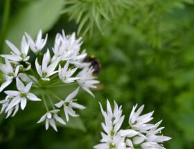 entdecken sie die welt von tanja ransom &ndash; kreative ideen, inspirierende projekte und mehr. erfahren sie alles &uuml;ber ihre arbeit und leidenschaft.
