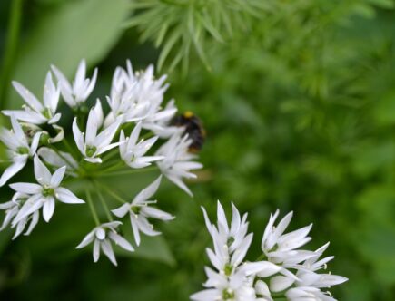entdecken sie die welt von tanja ransom &ndash; kreative ideen, inspirierende projekte und mehr. erfahren sie alles &uuml;ber ihre arbeit und leidenschaft.