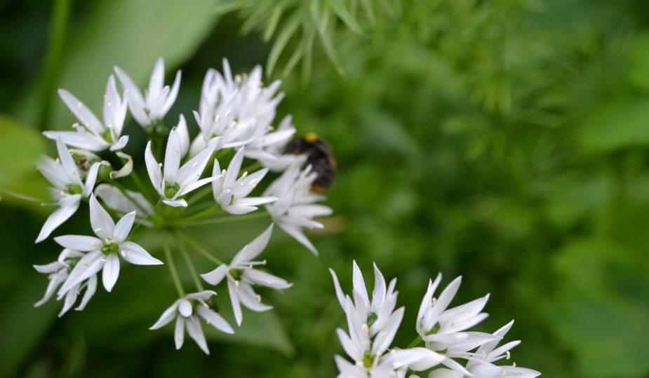 entdecken sie die welt von tanja ransom &ndash; kreative ideen, inspirierende projekte und mehr. erfahren sie alles &uuml;ber ihre arbeit und leidenschaft.