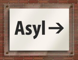 informationen und unterstützung für asylbewerber: rechte, verfahren und hilfsangebote in deutschland.