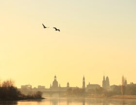 entdecken sie dresden durch die augen eines bloggers &ndash; spannende geschichten, insider-tipps und aktuelle trends aus der s&auml;chsischen landeshauptstadt.