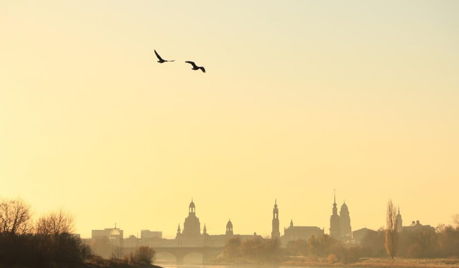 entdecken sie dresden durch die augen eines bloggers &ndash; spannende geschichten, insider-tipps und aktuelle trends aus der s&auml;chsischen landeshauptstadt.