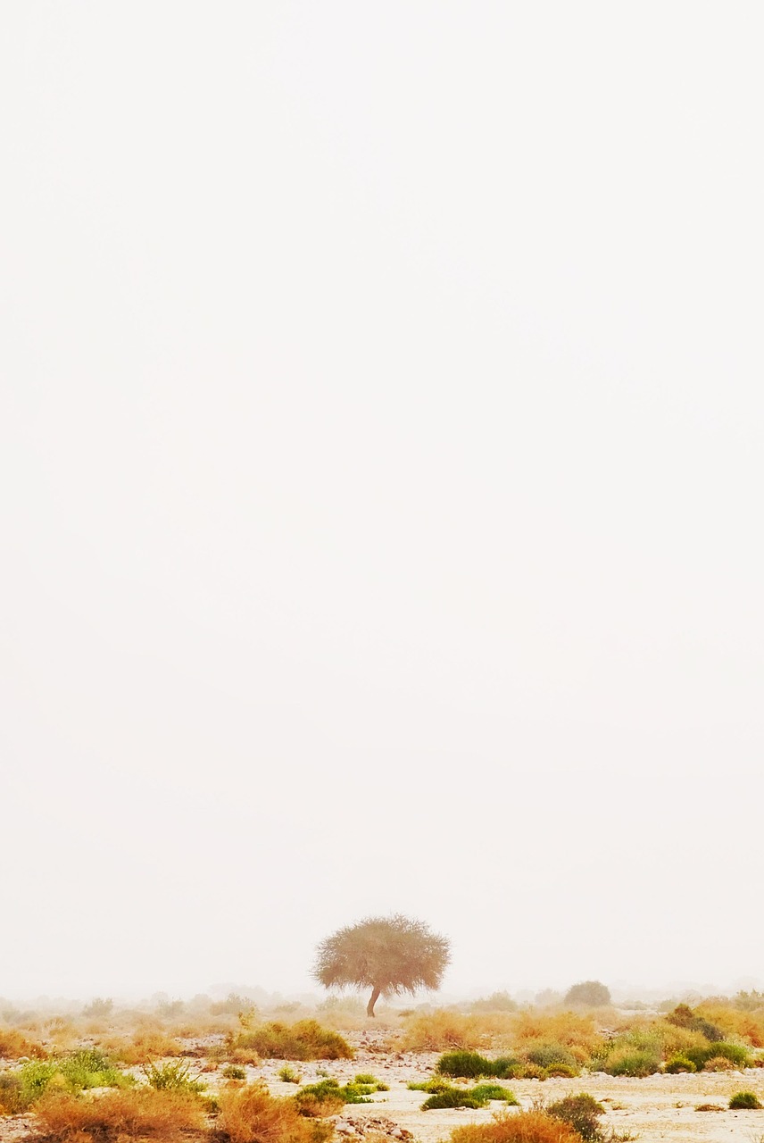 entdecken sie minimalismus: ein lebensstil, der einfachheit, klarheit und bewussten konsum f&ouml;rdert, um mehr freiheit und zufriedenheit zu erreichen.