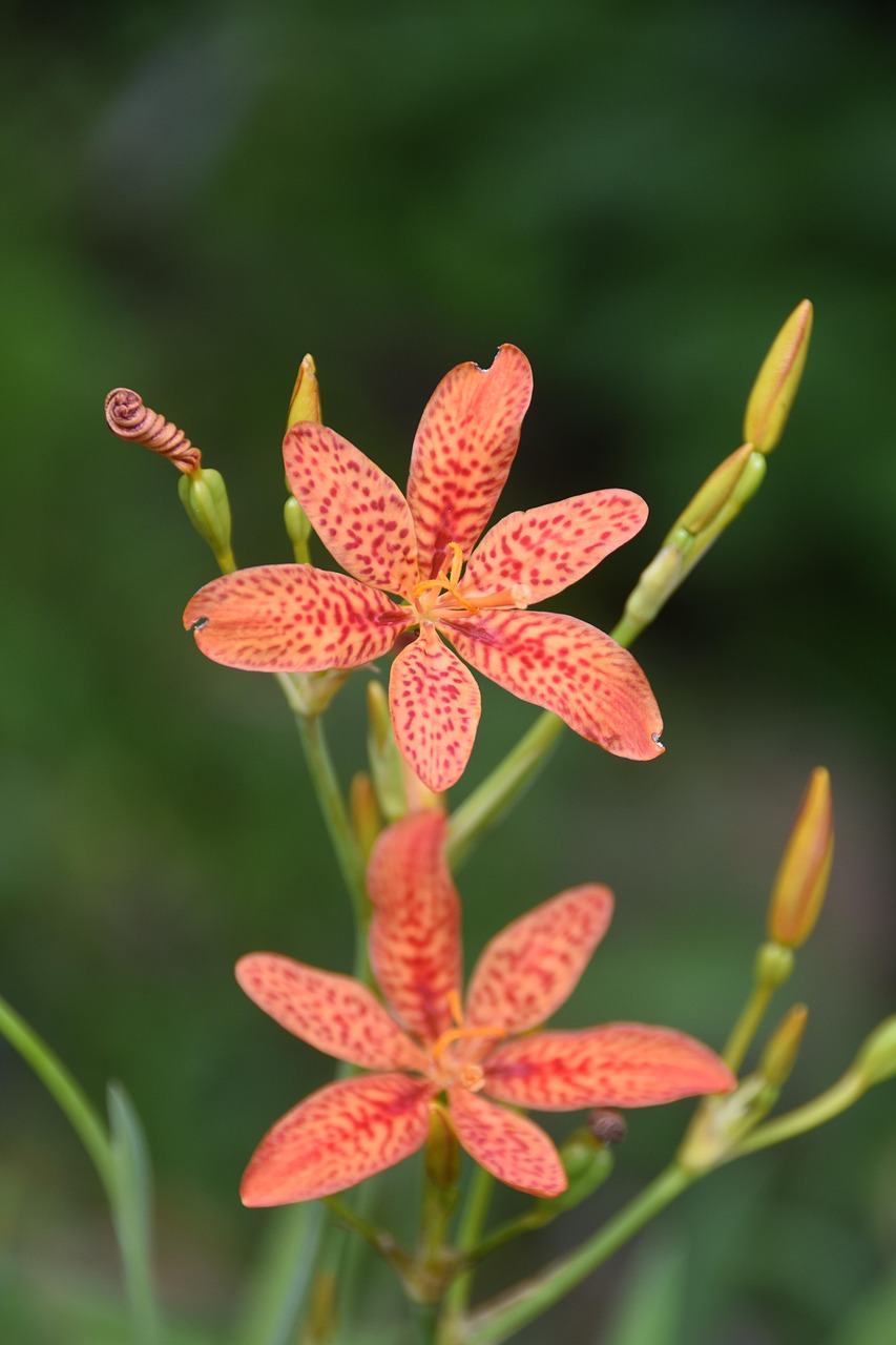 erfahren sie mehr über die strafrechtliche haftung, ihre grundlagen, konsequenzen und rechtlichen aspekte im deutschen rechtssystem.